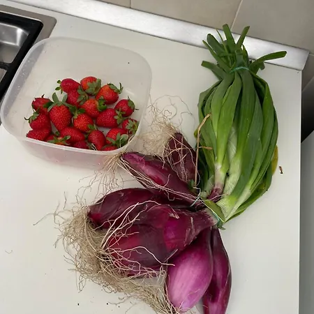 In Scalea, Calabria * Scalea